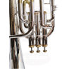 Saxor Versalles CX-W113SG Silver & Gold