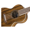 Ukulele Fender Rincón Tenor V2 Nat 0971652121